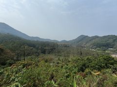 -黄埔油麻山森林公园