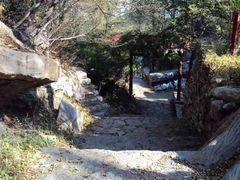 -原山国家森林公园