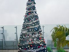 -Hi City·城市之巅