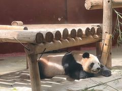 -杭州野生动物世界