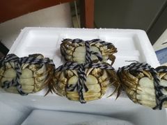 六月黄-小陆莲花蟹园农家乐(莲花岛店)