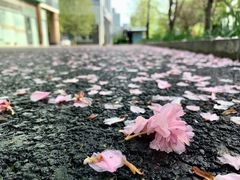 -悠乐汇