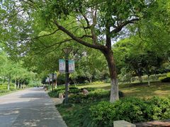 -杭州城北体育公园