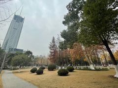 -西北湖绿化广场