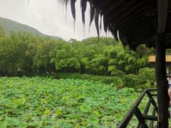 -兰亭风景区