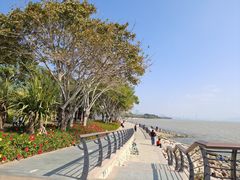 -深圳湾公园(南山区)