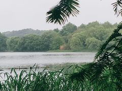 -茅家埠