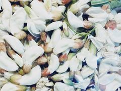 -果蔬好生活超市(乐堤港店)