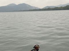 -浙江西湖美术馆