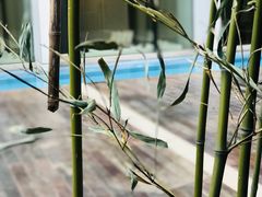 -北京三里屯CHAO酒店