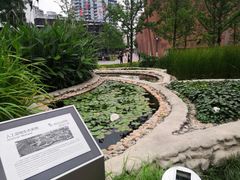 -活水公园