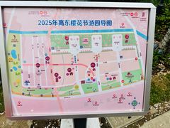 -高东镇樱花园