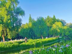 -上海共青森林公园