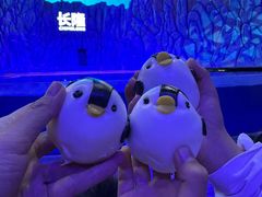 -帝企鹅自助餐厅•儿童岛•真企鹅(长隆企鹅酒店)