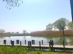 -太湖湖滨国家湿地公园-停车场