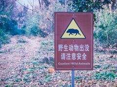 -敬亭山风景名胜区