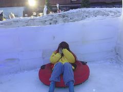 -世界之窗阿尔卑斯冰雪世界