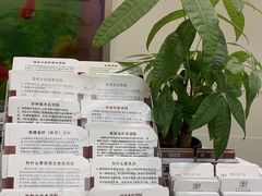 -雅悦齿科(顾村公园店)