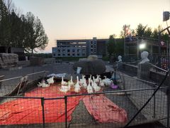 -房山世界地质公园博物馆