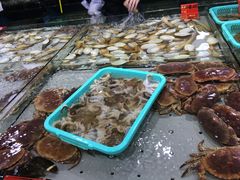 -渔傅·蓝海岸霞浦海鲜(正祥店)