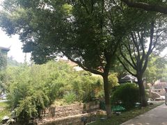 -亭林园-华藏寺