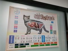 -半岛宠物医院24小时(科华中路店)