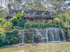-中国科学院西双版纳热带植物园