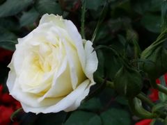 -人民公园(罗湖区)