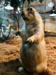 -Zoolung Zoolung动物主题公园(海信广场店)