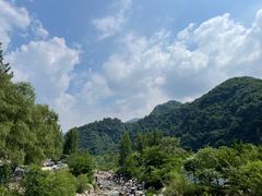 -都江堰石锅鱼
