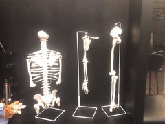 -TOP健身私教工作室(侨香店)