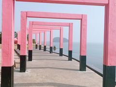 -漳州滨海火山岛自然生态风景区