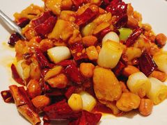 -向川南·水煮鱼·川菜(和平里店)