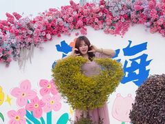-荷兰花海