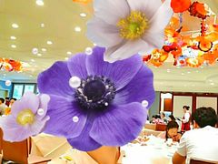 -南海渔村(珠江新城店)
