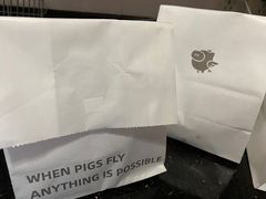 -WHEN PIGS FLY当猪飞