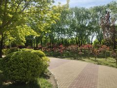 -北坞公园