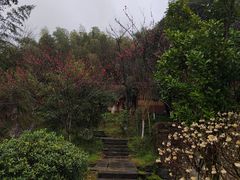-常德桃花源景区