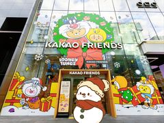 -KAKAO FRIENDS(弘大店)