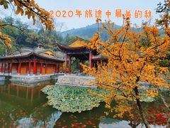 -华清宫景区