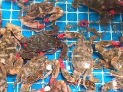 -渔码头食府·20年蓬莱老字号(登州路店)