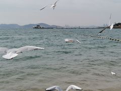 -青岛第一海水浴场