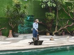 -广州长隆飞鸟乐园