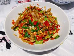 鸭掌筋-壹盏灯(惠农店)