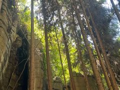 -梭布垭石林景区