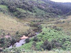 -霍顿平原国家公园