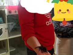 -藦茜花园宠物主题亲子互动体验馆(国顺东路店)