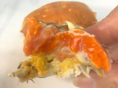 -阳澄湖大闸蟹·琼灵阁牌品牌连锁(吴中总店)