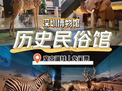 -深圳博物馆