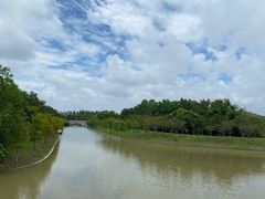 -上海海湾国家森林公园